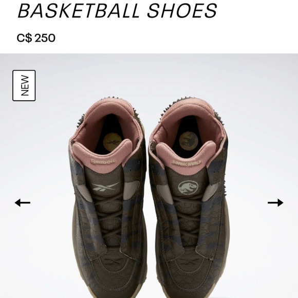 REEBOX JURASSIC WORLD THE ANSWER DMX BASKETBALL SHOES - Picture 5 of 9